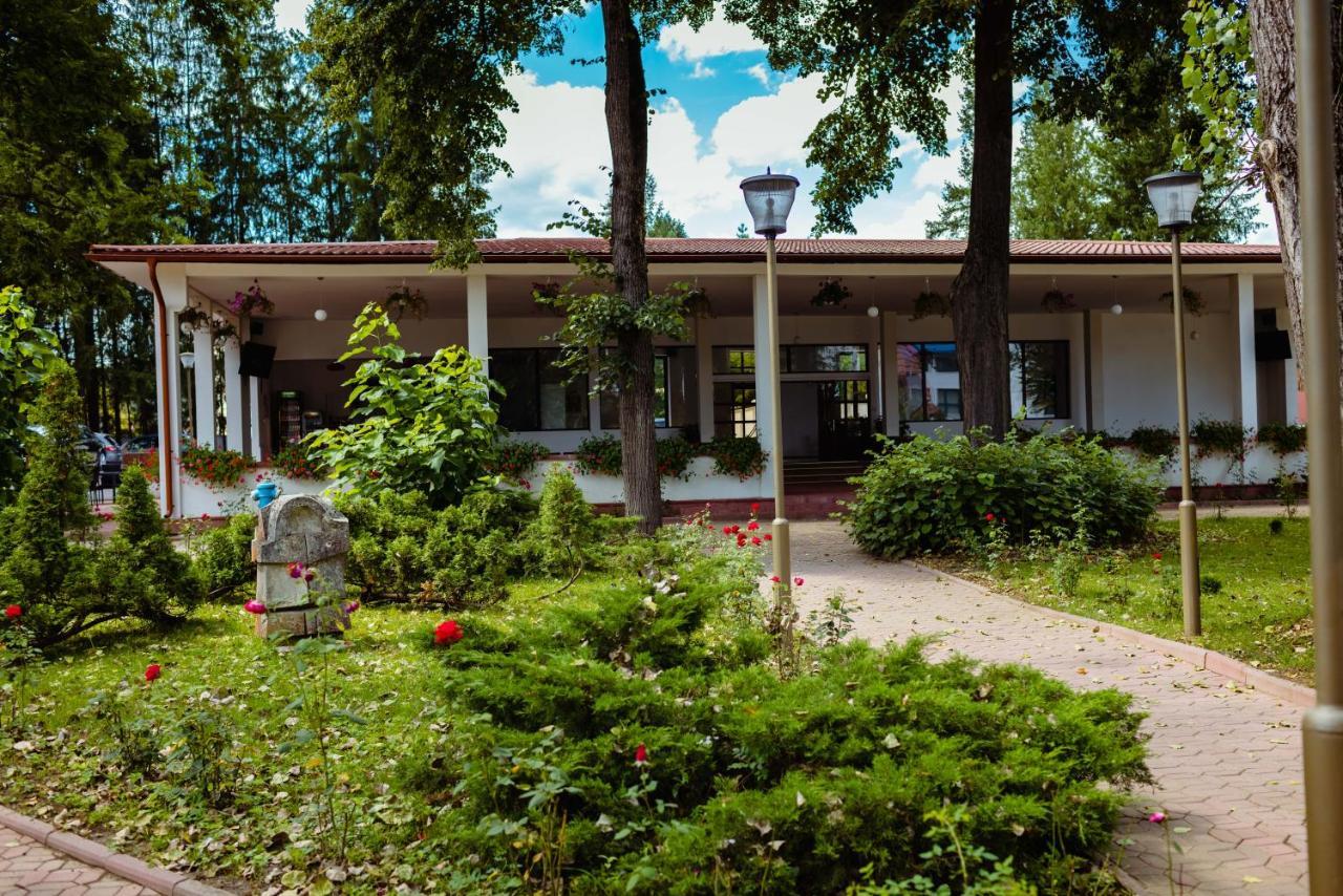 Complex Vata Bai Hotel Vata de Jos Exterior photo